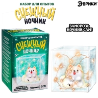 Набор для опытов &laquo;Снежный ночник: Пёсик&raquo;, своими руками