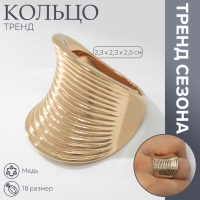 Кольцо металл «Тренд» пружинка, цвет золото, размер 18 Кольцо металл «Тренд» пружинка, цвет золото, размер 18