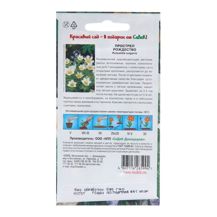 Семена цветов Прострел "Рождество", Евро, 0,1 г