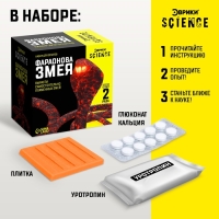 Набор для опытов «Фараонова змея» Набор для опытов «Фараонова змея»