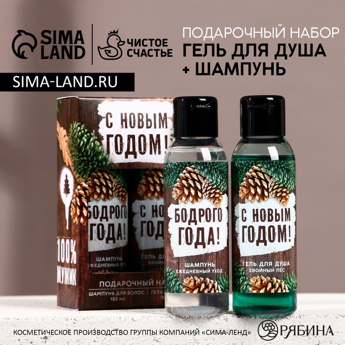 Подарочный набор косметики &laquo;Богатства и успеха&raquo;, гель для душа и шампунь для волос, 2 х 100 мл, Новый Год