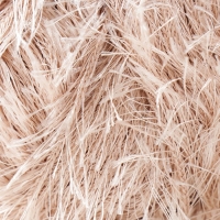 Пряжа "Samba" 100% полиэстер 150м/100гр (04 бежевый)