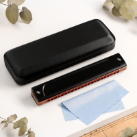 Губная гармошка Music Life T22K тремоло, с футляром Губная гармошка Music Life T22K тремоло, с футляром