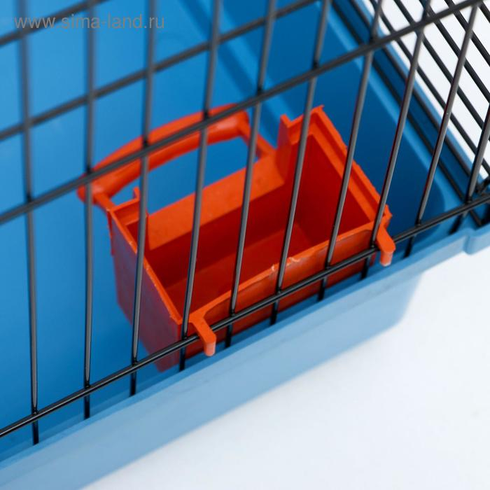 Клетка для грызунов Клетка для грызунов "Сеня 2", 50 x 37 x 37 см, микс цветов