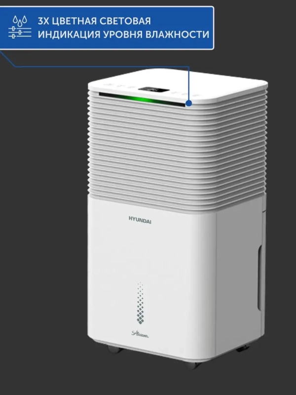 Электрический осушитель H-DH10-P81WF