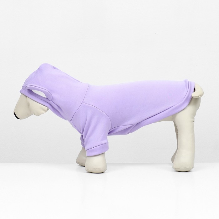 Кофта с капюшоном Кофта с капюшоном "Медвеженок", флис, размер S (ДС 21, ОШ 24, ОГ 30 см), фиолетовая