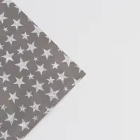 Бумага упаковочная глянцевая двухсторонняя &laquo;Звезды&raquo;, 70 х 100 см