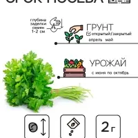Семена петрушка листовая &laquo;Богатырь&raquo;, 2 г