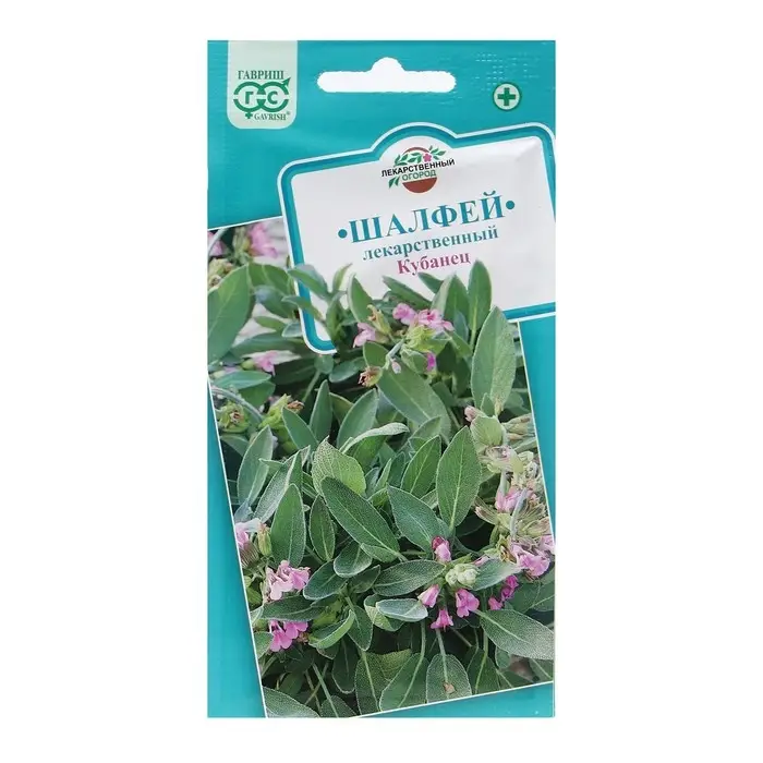 Семена Шалфей лекарственный" Кубанец", ц/п,   0,3 г