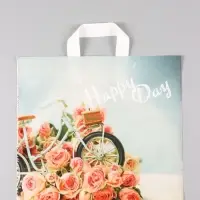 Пакет "Счастливый день", полиэтиленовый с петлевой ручкой, 38 х 34 + 3 см, 70 мкм