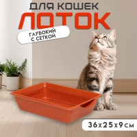 Туалет для кошек, 36&times;25&times;9 см, глубокий, с сеткой, пластик, коричневый