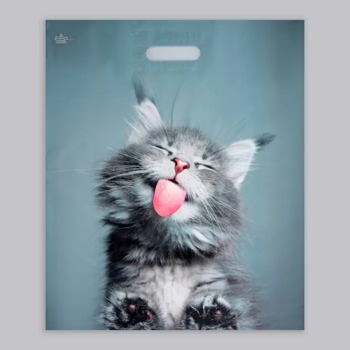 Пакет &laquo;Кот&raquo;, полиэтиленовый, с вырубной ручкой, 38&times;45 см, 60 мкм