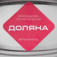 Маслёнка из нержавеющей стали Доляна, 19,5&times;12 см, цвет хромированный