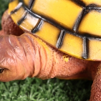 Фигурка "Черепаха" 11х14х6см