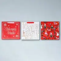 Набор пакетов ламинированных &laquo;Снежного Нового года&raquo;