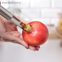 Нож для сердцевины Доляна &laquo;Металлик&raquo;, 21 см, цвет серебристый