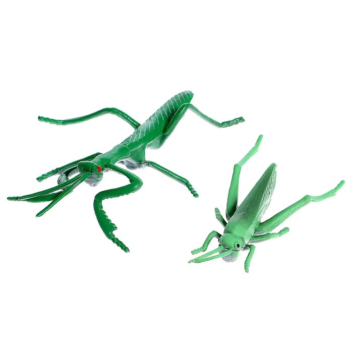 Набор насекомых &laquo;Жучки&raquo;, 16 фигурок