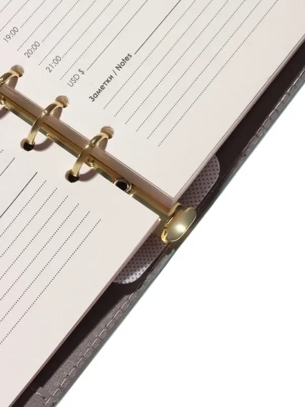 Органайзер на кольцах, А5, с хлястиком, 80л, линия, к/зам, Зеленый