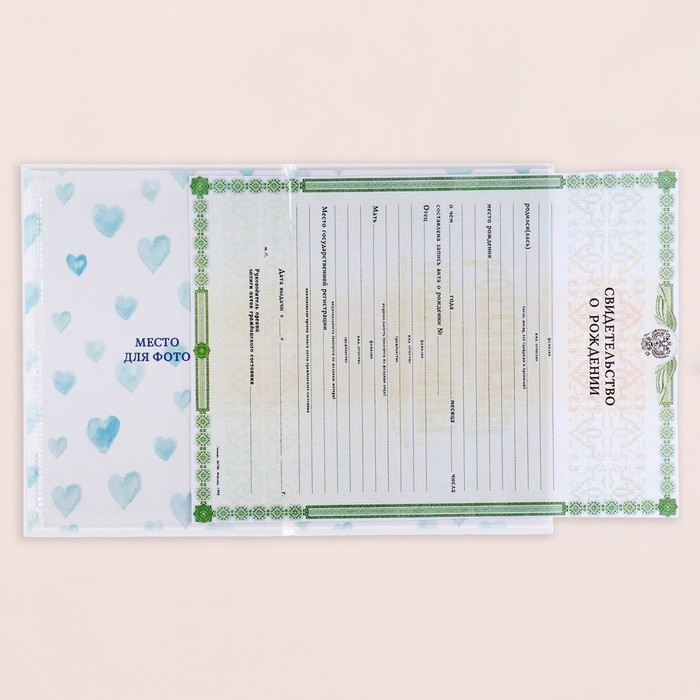 Папка под свидетельство о рождении "Зайчик" голубой тон, А5