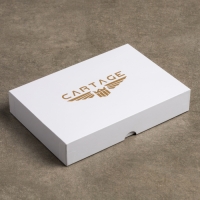 Подарочный набор Cartage, лучшему водителю, 4 предмета Подарочный набор Cartage, лучшему водителю, 4 предмета