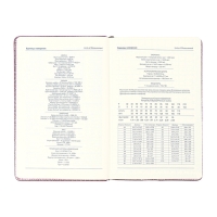 Ежедневник недатированный, обложка ПВХ, формат А5, 140 л, клетка, металлик Бронза Ежедневник недатированный, обложка ПВХ, формат А5, 140 л, клетка, металлик Бронза