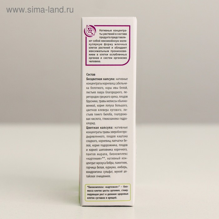 Комплекс &laquo;Сустарад&raquo;, натуральный, здоровые суставы, 30 капсул по 0,5 г