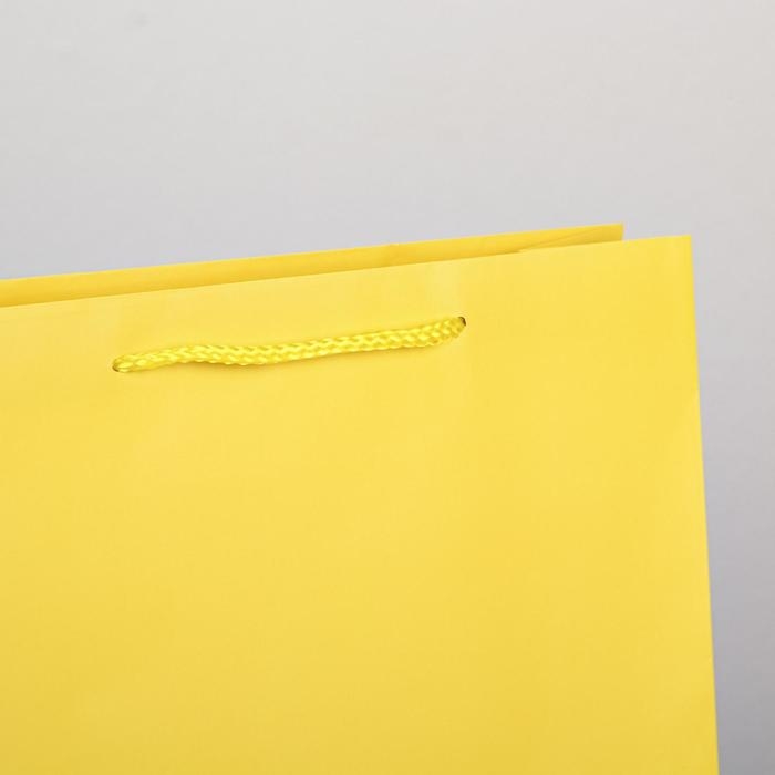 Пакет подарочный ламинированный, упаковка, &laquo;Жёлтый&raquo;, L 28 х 38 х 9 см