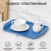 Поднос &laquo;Дональд&raquo;, 30&times;21 см, цвет МИКС