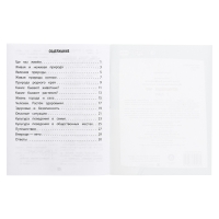 Тренажёр &laquo;Окружающий мир&raquo; 2 кл.