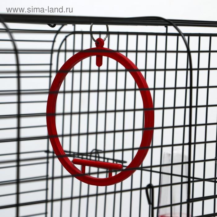 Клетка для птиц Клетка для птиц "Грация", 49 х 36 х 37 см, микс цветов