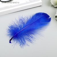 Перья декоративные "Карнавальные", 5-8 см (набор 24 шт) 6 цветов, яркие, ассорти