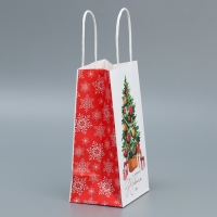 Пакет подарочный новогодний крафтовый &laquo;Уют в доме&raquo;, 12 х 21 х 9 см, Новый год