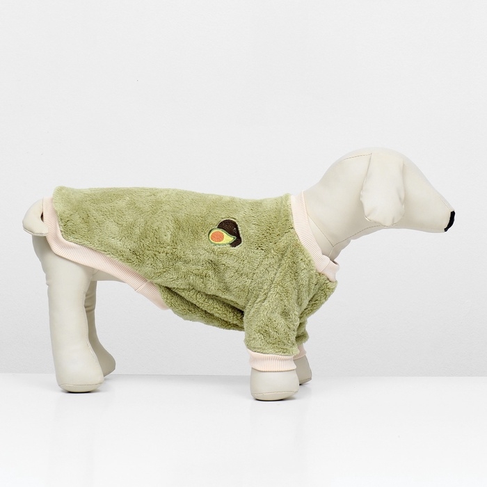 Свитер Свитер "Авокадо", велюр, размер S (ДС 25, ОШ 24, ОГ 35 см), зеленый