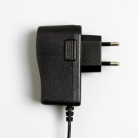 Гирлянда &laquo;Конский хвост&raquo; 10 нитей по 1 м, IP20, серебристая нить, 100 LED, свечение белое, 12 В