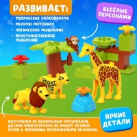 Конструктор &laquo;Сафари&raquo;, 22 детали