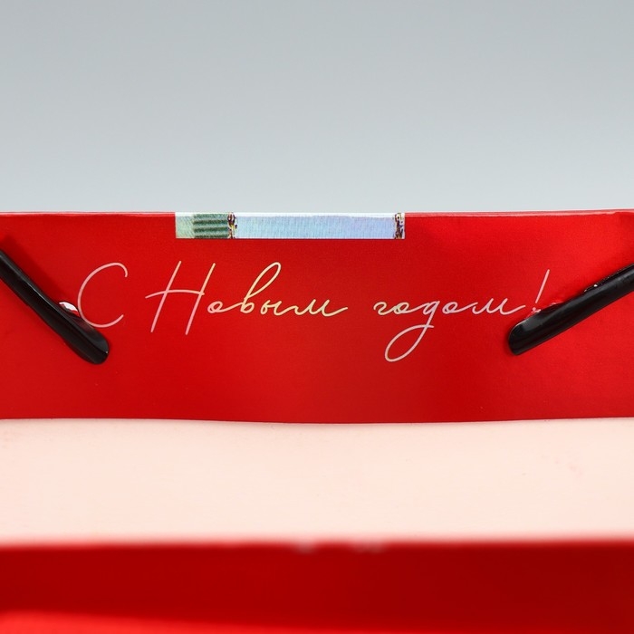 Пакет подарочный новогодний ламинированный &laquo;Новогодний бант&raquo;, MS 18 х 23 х 10 см, Новый год