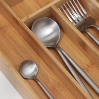 Лоток для столовых приборов Доляна «Бамбуковый лес», 37×26×4 см, 6 ячеек Лоток для столовых приборов Доляна «Бамбуковый лес», 37×26×4 см, 6 ячеек