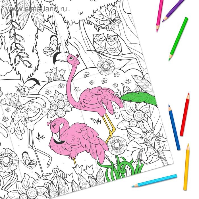 Раскраска-гигант по номерам &laquo;Удивительный мир&raquo;, 59 &times; 84 см