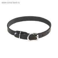 Ошейник кожаный однослойный, 30 х 1 см, ОШ 19-27 см, черный