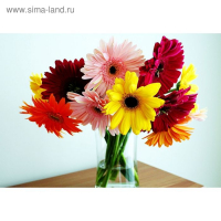 Проволока герберная 1,6 мм, 1 кг Проволока герберная 1,6 мм, 1 кг