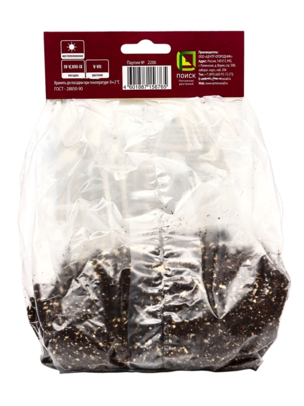 Купальница гибридная Чеддар, р-р I, 1 шт, Весна 2025 Купальница гибридная Чеддар, р-р I, 1 шт, Весна 2025