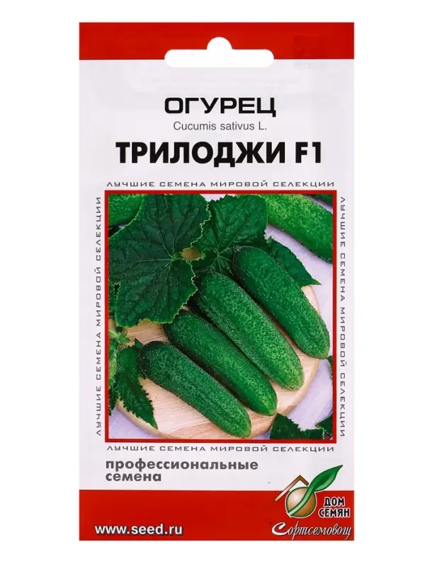 Семена Огурец Трилоджи F1 6 шт