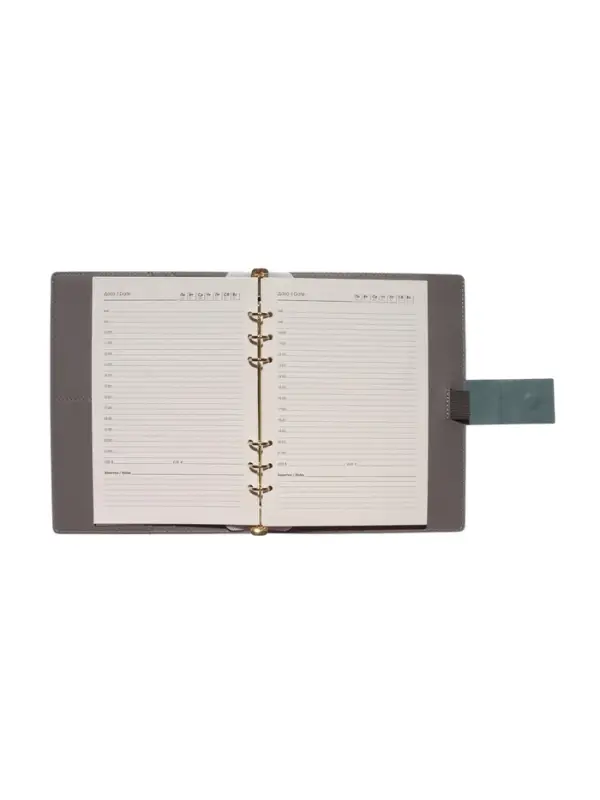 Органайзер на кольцах, А5, с хлястиком, 80л, линия, к/зам, Зеленый