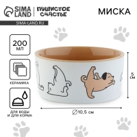 Миска керамическая &laquo;Фитнес песики&raquo;, 200 мл, для собак
