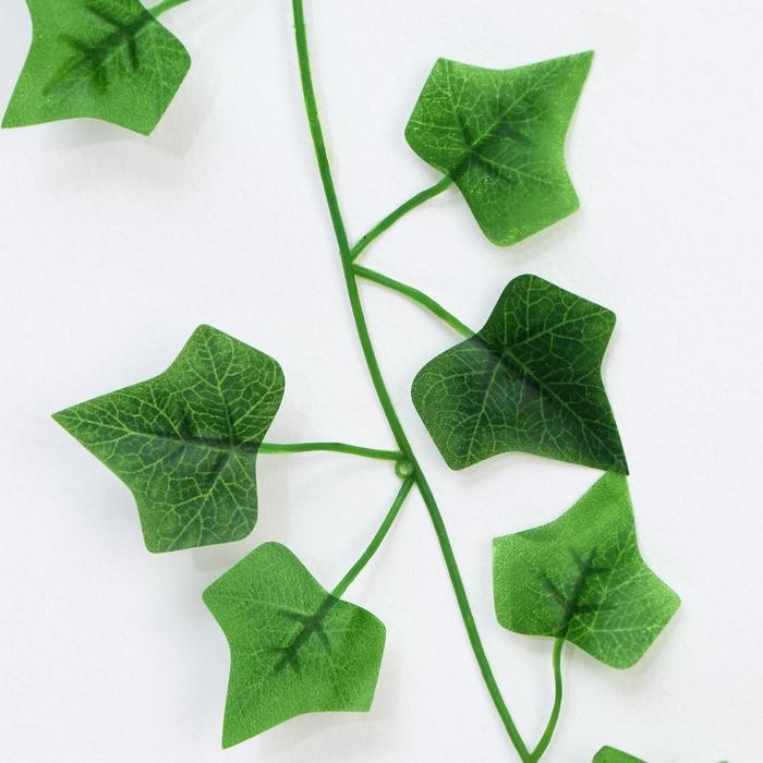 Лиана Лиана "Лист" 200 см