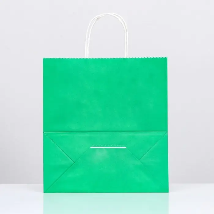 Пакет крафт &laquo;Радуга&raquo;, зелёный, 25&times;12&times;27 см, 80 г/м&sup2;, 1 шт.