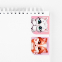 Набор блокнот А6, 32 листа, наклейки, магнитные закладки &laquo;С 8 марта&raquo;