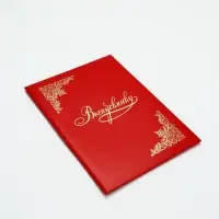 Папка адресная бумвинил А4 (пухлая) "Выпускнику" красная