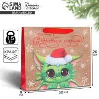 Пакет подарочный новогодний крафтовый &laquo;Милый дракон&raquo;, M 30 х 26 х 9 см
