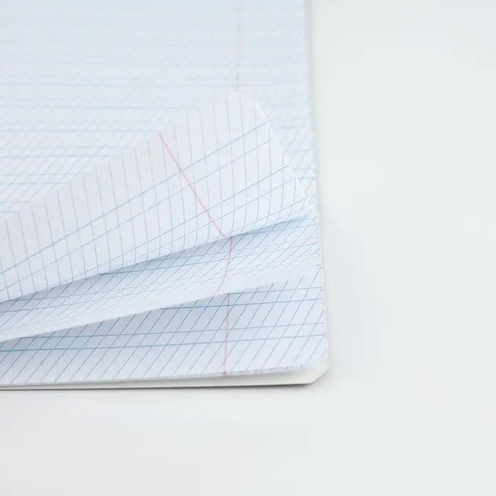 Тетрадь 12 листов в частую косую линейку, А5, на скрепке, блок №1 &laquo;Учись на 5+&raquo; МИКС